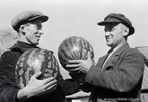 Agronomist F.I. Tori and I.D. Weide, the chairman of the “Voroshilov” collective farm, seen with the watermelons intended for the district agricultural exhibition, 1938.