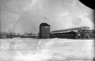 General view of the dairy farm at the Neu Hussenbach collective farm in Hussenbach, Krasny Kut Kanton, 1931.