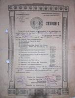 Свидетельство об окончании автошколы, выданное Баумунг Давиду Кондратьевичу 11 июля 1935 г.