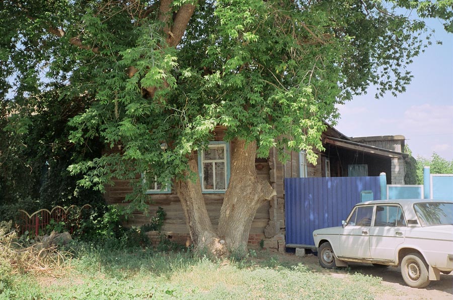 Гисметео красный яр энгельсский. Красный Яр Энгельсский район. Красный Яр Энгельсский район парк. Население красный Яр Саратовская область. Красный Яр Энгельсский район Стелла.