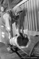 Ударница свиноводческой фермы колхоза «Рот фронт» Амалия Вирт дает корм свиньям. 1932 г.
