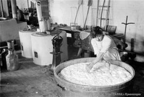 Изготовление сыра на молочной ферме селения Лауб. 1933 г.
