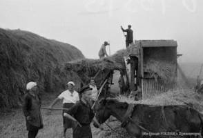 Колхозники одного из колхозов немцев Поволжья во время молотьбы зерновых нового урожая. 1933 г.