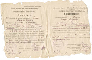 Свидетельство об окончании Марксштадтской опытно-показательной школы-семилетки (I и II ступени), выданное Ридель М.А. 1 августа 1925 г.
